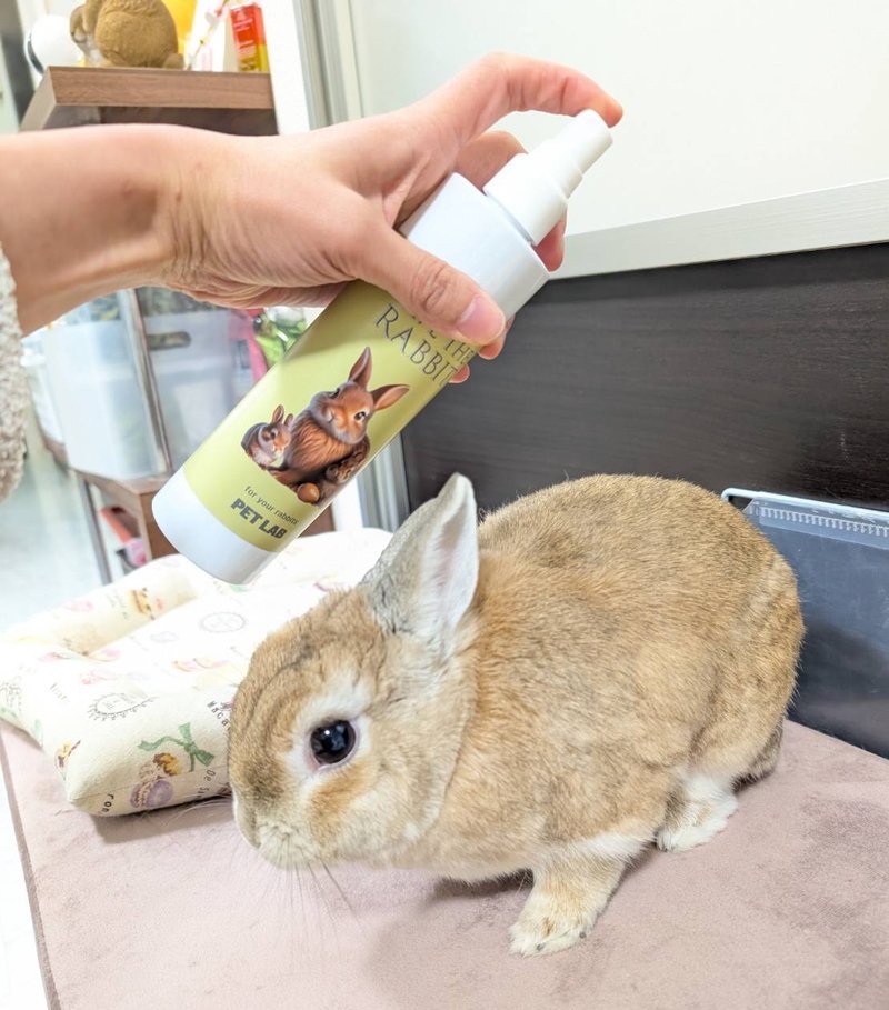 ウサギ用化粧水「セイヴ ザ ラビット」を使用しているようす